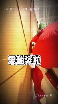 直播预告丨听说老板娘要在直播间出道啦？