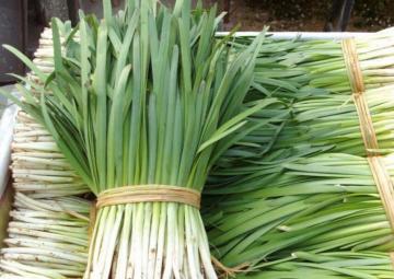 「给大家科普一下如何割韭菜」