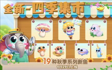 【四季集市】19种新鱼带回鱼缸~