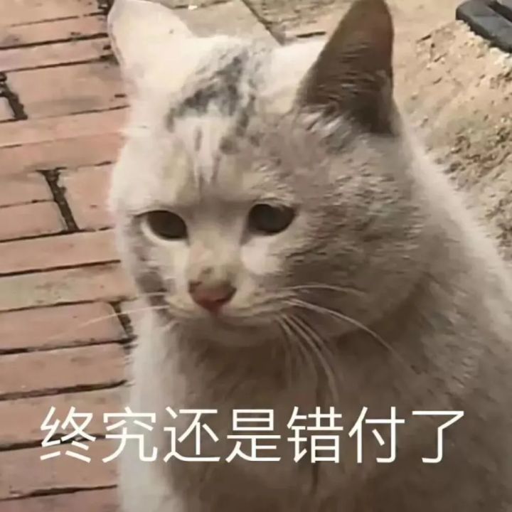 我裂开了截图