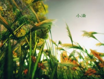 《大侠挂个机》节气-小满