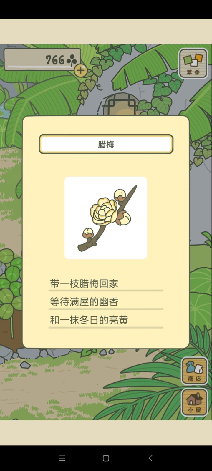 蜡梅截图