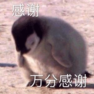 关于在论坛发布《纸嫁衣》攻略贴的一些小事宜截图
