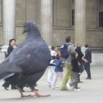 吃土计划公告(内含key)