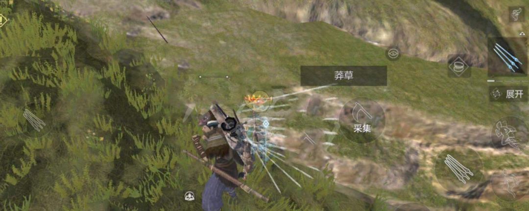 妄想山海莽草哪里最多截图