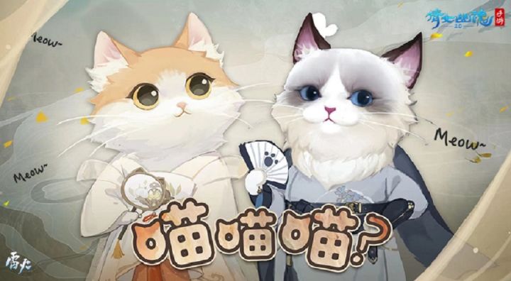 猫咪成精?倩女手游首款变形时装猫不语来袭!截图