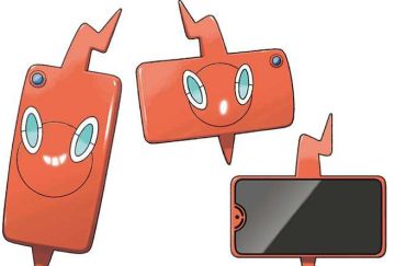 冒险这么久了，都遇到了那些伙伴呢？图鉴功能一目了然