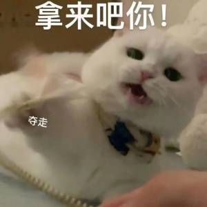 【大神专访】前线记者——不讲武德