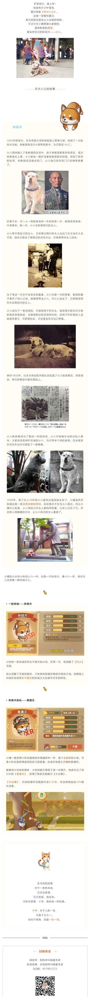 若你需要朋友，就养条狗吧~