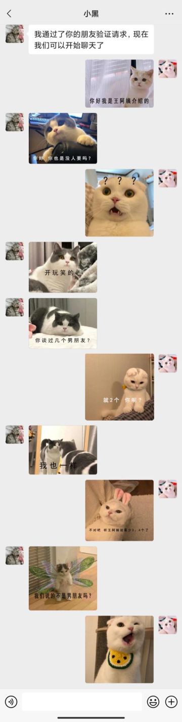 【表情包专栏】当你的相亲对象是个直男……