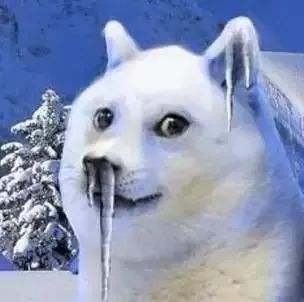 【海洋大世界之旅】凛冬来袭 宝宝都冻哭了