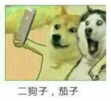 【自由恋爱时代开启】因为爱情竟也如此悲伤！