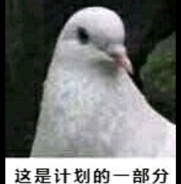 方舟的主线与活动剧情时间线整理（具体到鹰历年）