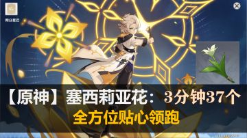 【原神】阿贝多突破材料：塞西莉亚花 3分钟37个-保姆级攻略