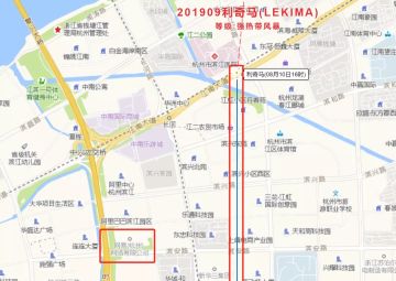 从台风中悟出最强套路，它被锻造成最强灵兽！