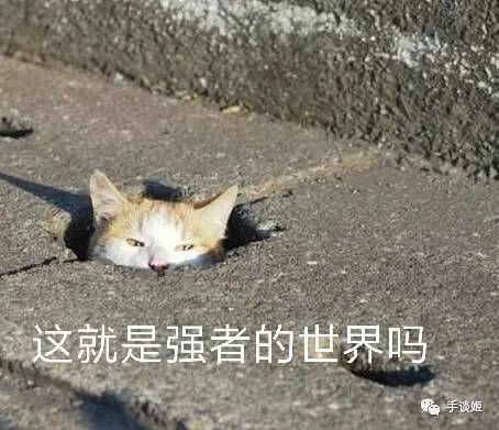 加好友互送土行孙！截图