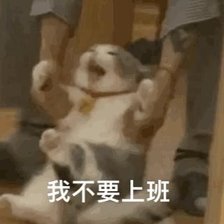 【小纸人不定期日刊】阴阳师们的上班综合症