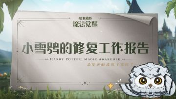第2期｜小雪鸮的修复工作报告