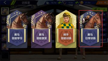 《飞马流星》日常训练 助力赛场