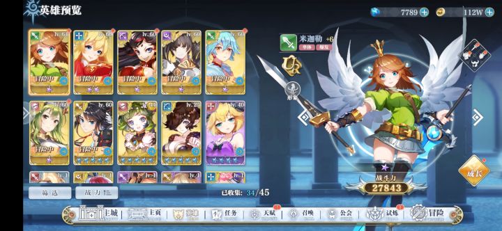 新人求阵容截图