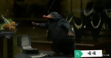 【同人攻略】无尽攻略-无尽中的神奇动物