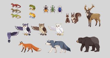 跟大家聊聊我们的生态/生活系统，那些可爱的花鸟鱼虫，和温馨的生活。