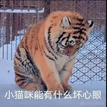 会打折吗?会打折吗?截图