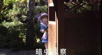 【话题】武者大大们是否踏上回家的路程了呢！