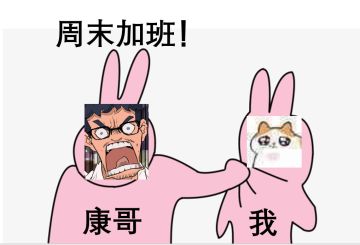 来！分享一下你们一代目到退休的结局！