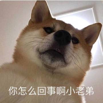 【已开奖】一起见证浴火重生的时刻！《冰原守卫者》9月17日涅槃测试即将开启