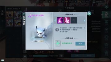 《雪鹰领主》手游宠物技能