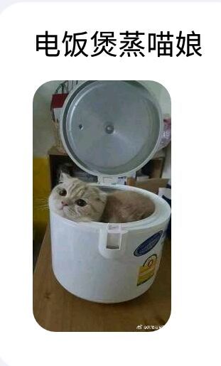 客服姬们已经骚断小jiojio啦~～　