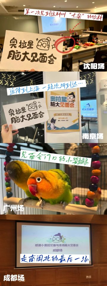 希望还会再见！- 脑大的见面会后记