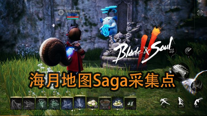 免费成就属性【剑灵2】海月大陆 Saga(小灵芝)采集点一览(仅显示稍有难度的)截图