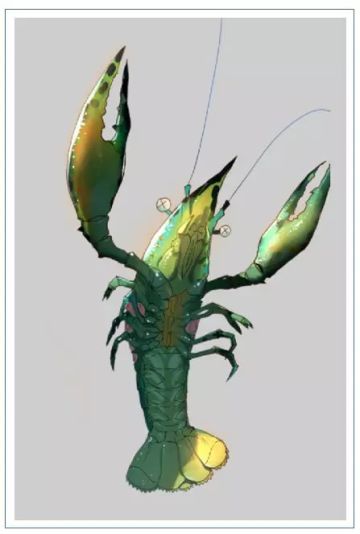 【新皮肤】冲浪少年上线——你们要的虾来啦！