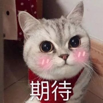 新英雄爆料 | 强力后期，ADC一哥，紫电豪侠降临梦三大陆！