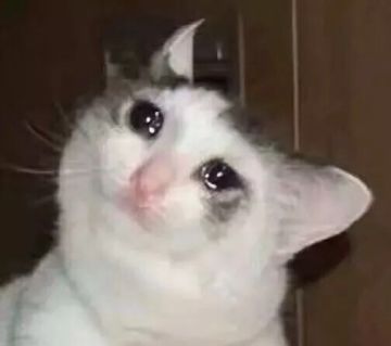 今天才知道我们为什么叫《火柴人觉醒》，我又哭