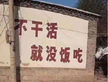 【一千零一夜 有奖热聊】今日整活：对酒当歌，人生几何