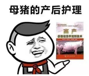 富贵村形象大揭密（一）——包租婆！为什么没水了呢？