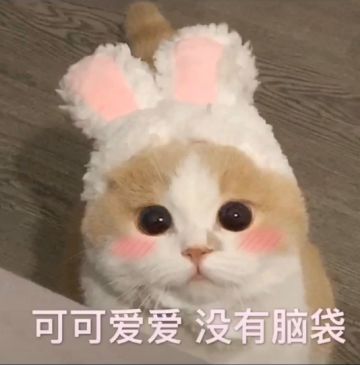 消除猫猫的游戏你们喜欢嘛？