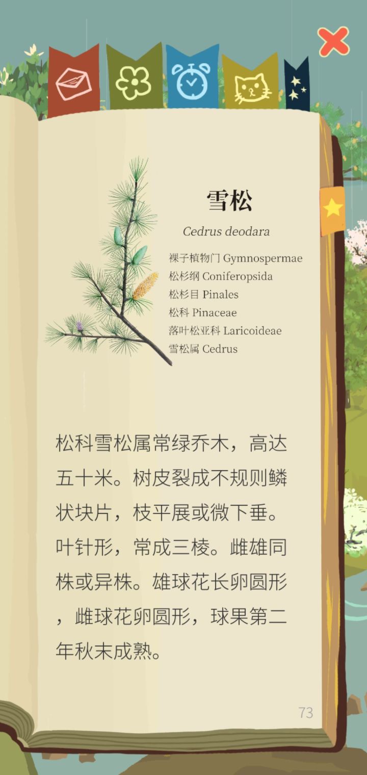 松树的叶子是单叶还是复叶?截图