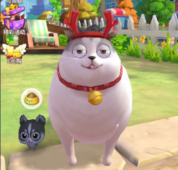 《天天爱萌宠》图文攻略：养成计划及每日任务推荐