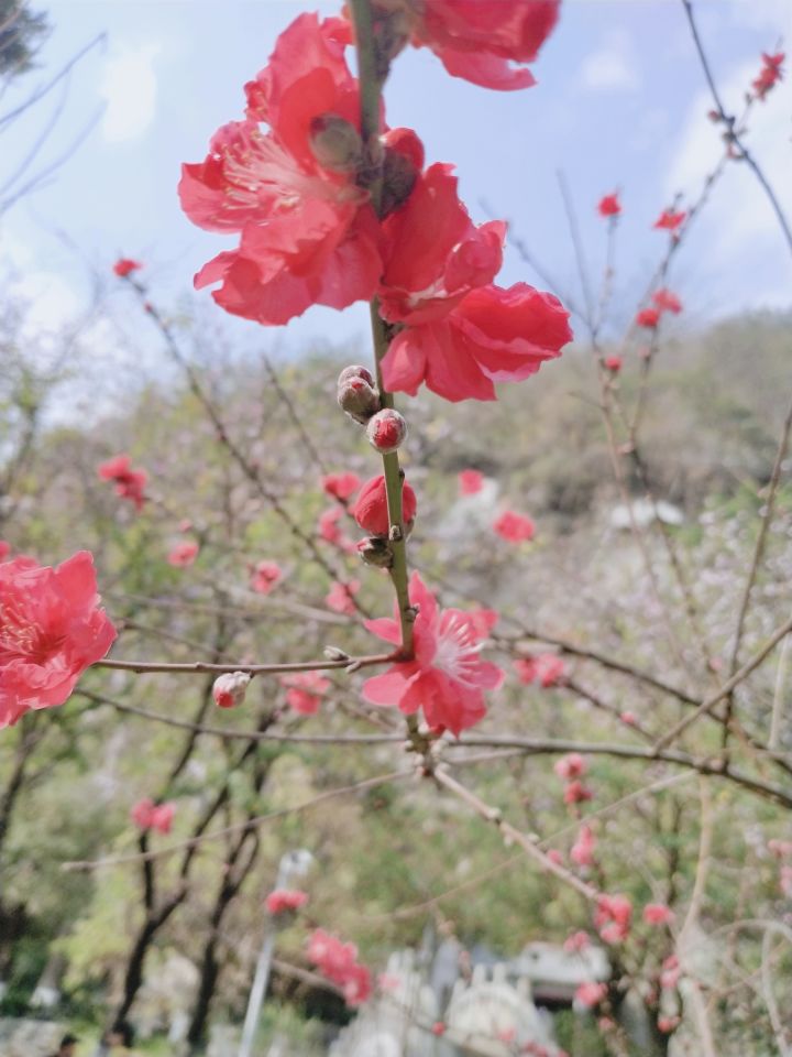阴了一个礼拜的天气终于放晴了截图