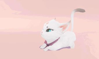 6款全新【猫】灵兽坐骑任你撸，都是仙界跌落人间的小可爱！