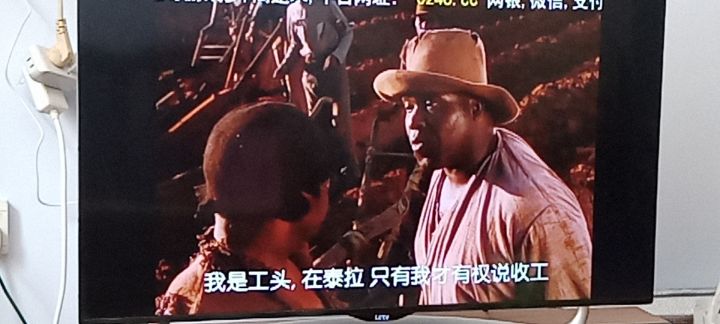 泰拉的乱世佳人截图