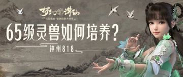 神州818丨65级灵兽如何打书？快来看看大家的培养方案吧！