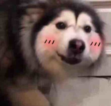 (*ᵕᴗᵕ)⁾⁾七夕快乐！今天你是怎么过的呢？