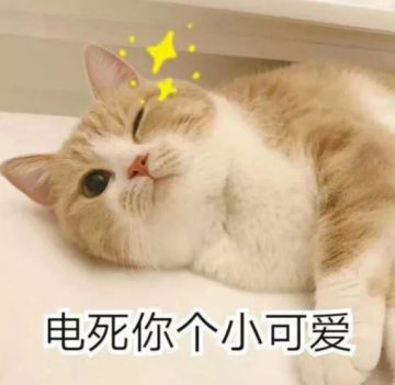 【巨像公告牌】《巨像骑士团》明日开测！