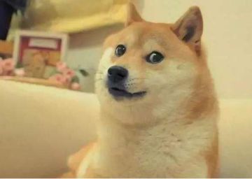 【闲时唠一唠】王牌战术差一个你！所有位置就位，出击！