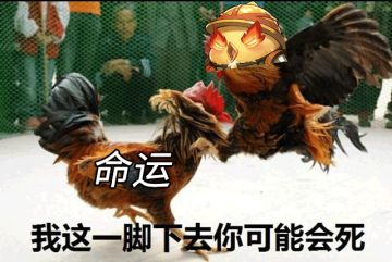 💬JuJu日常0808| 若命运待我不公，我便和它斗到底